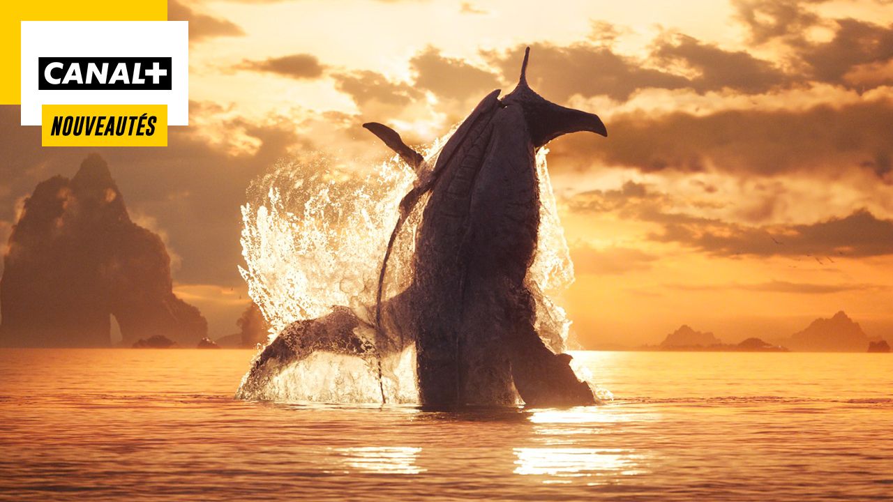 The biggest cinematic success of 2022 is coming to CANAL+!