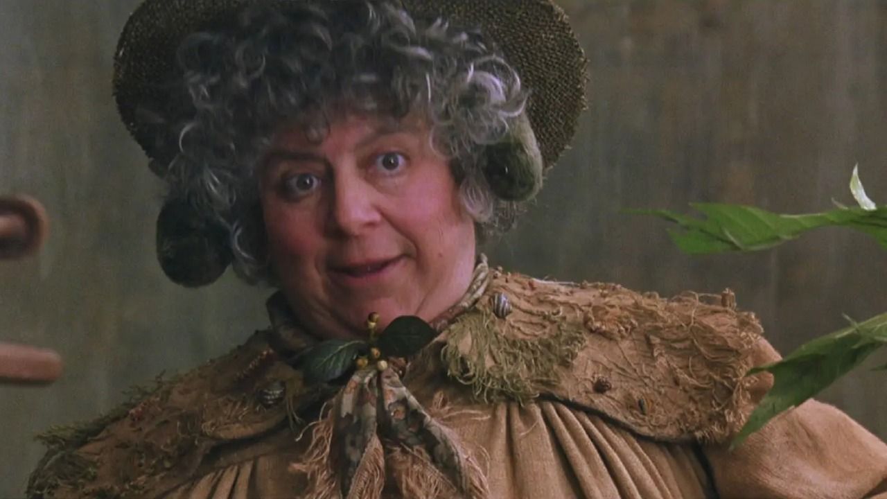 Miriam Margolyes dans Harry Potter et la Chambre des secrets.