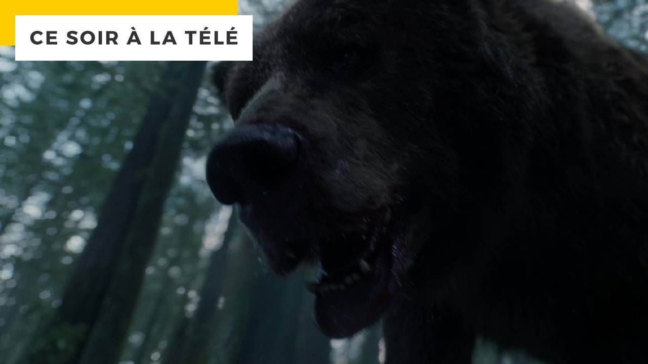 Tonight on TV: This is the movie that earned Leonardo DiCaprio the Oscar for Best Actor