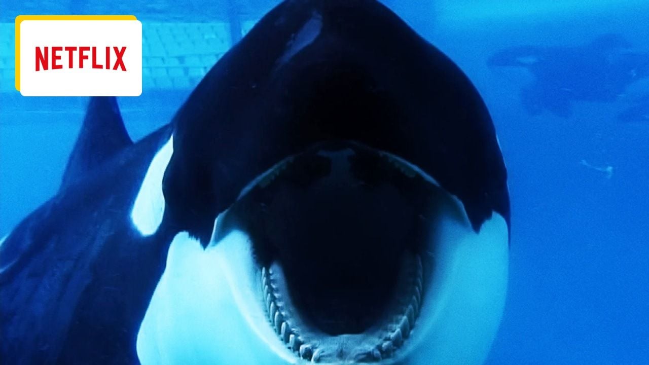 Tonight on Netflix: After this movie, you’ll never look at water parks the same way again