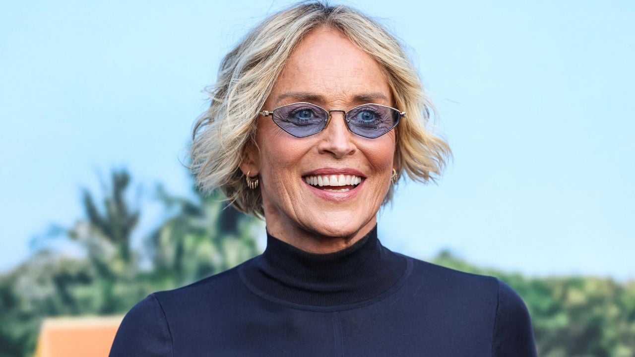“I have always liked this work”: Sharon Stone reveals his 4 favorite films, and the basic instinct star is very good “I have always liked this work”: Sharon Stone reveals his 4 favorite films, and the basic instinct star is very good
