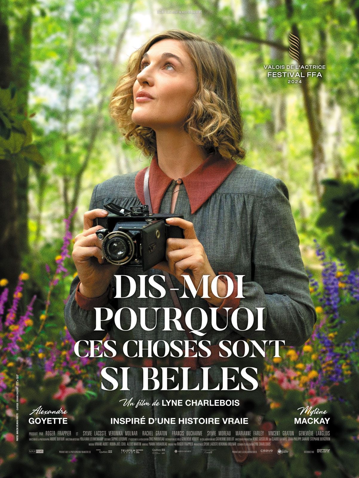 Dis-moi pourquoi ces choses sont si belles streaming gratuit