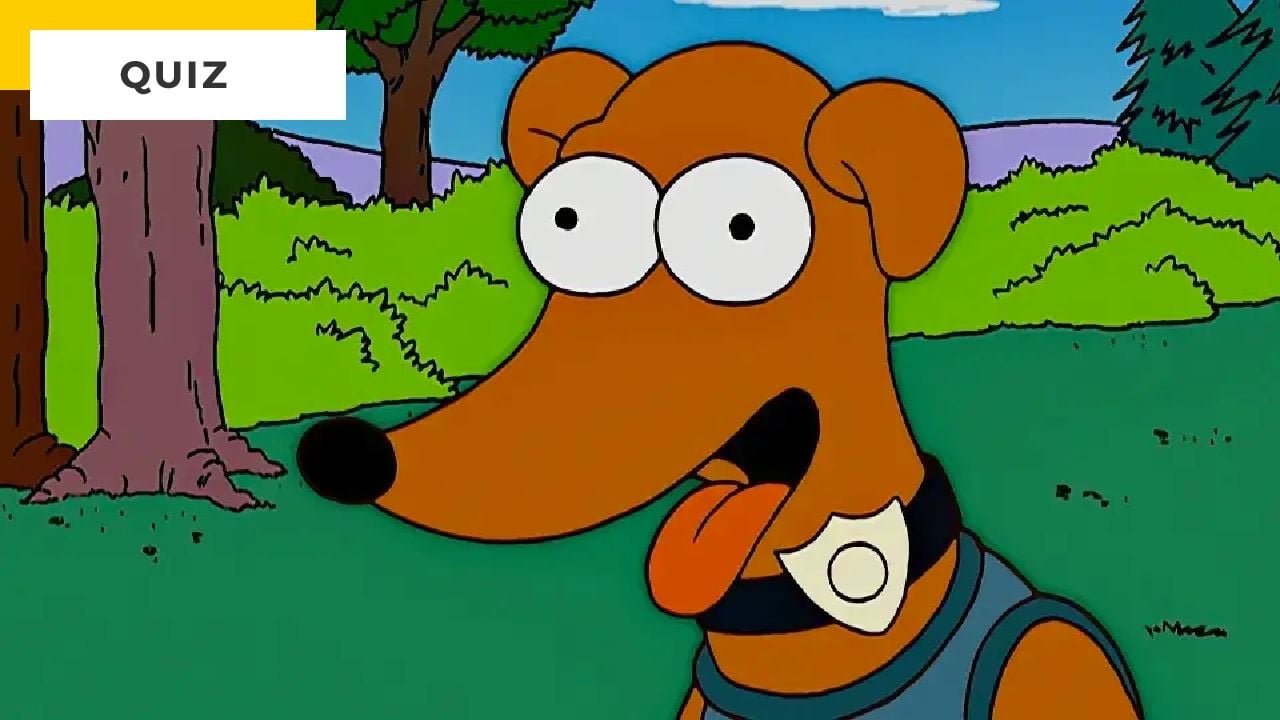 Nostalgia Quiz: Impossible to recognize these 9 cartoons!