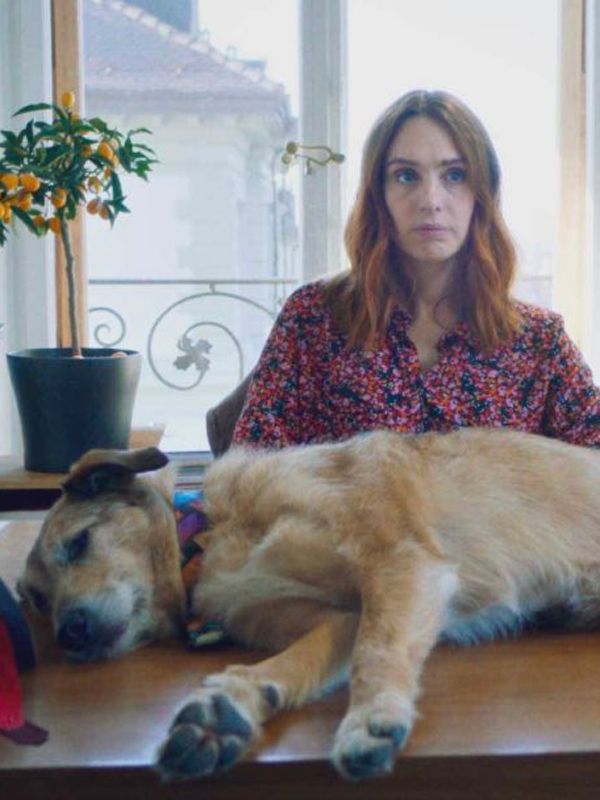 Le Procès du chien streaming gratuit