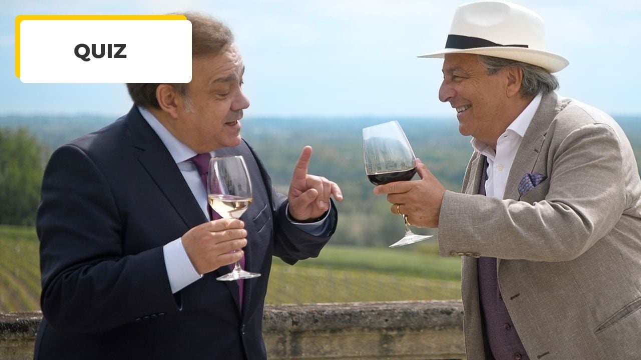 Movie Quiz: Is Christian Clavier Your Favorite Actor? Prove it by targeting 7/7!