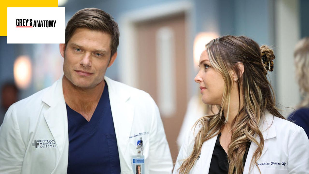 Grey’s Anatomy: When is season 20 coming out?  We have the answer!