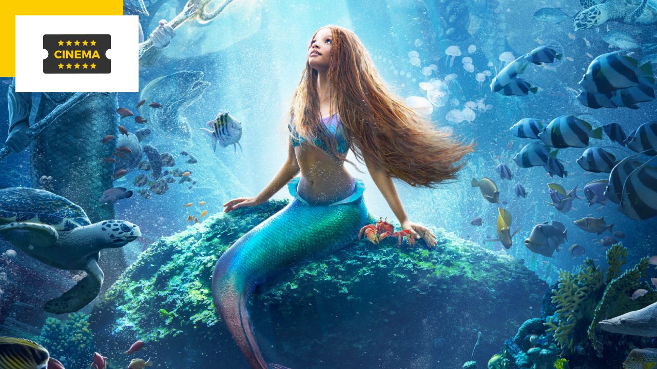The Little Mermaid: This Bridgerton star is in a movie and you really missed her