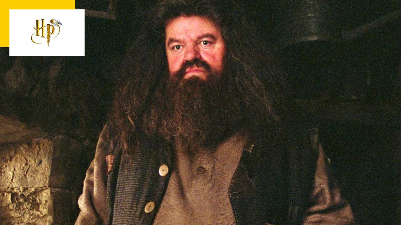 ‘Without Hagrid, There’s No Hogwarts’: Draco Reflects On Harry Potter Guardian’s Death