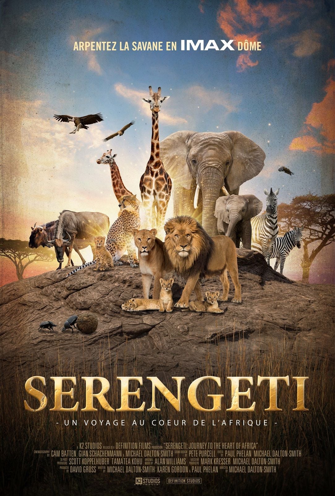 Serengeti : Journey to the Heart of Africa