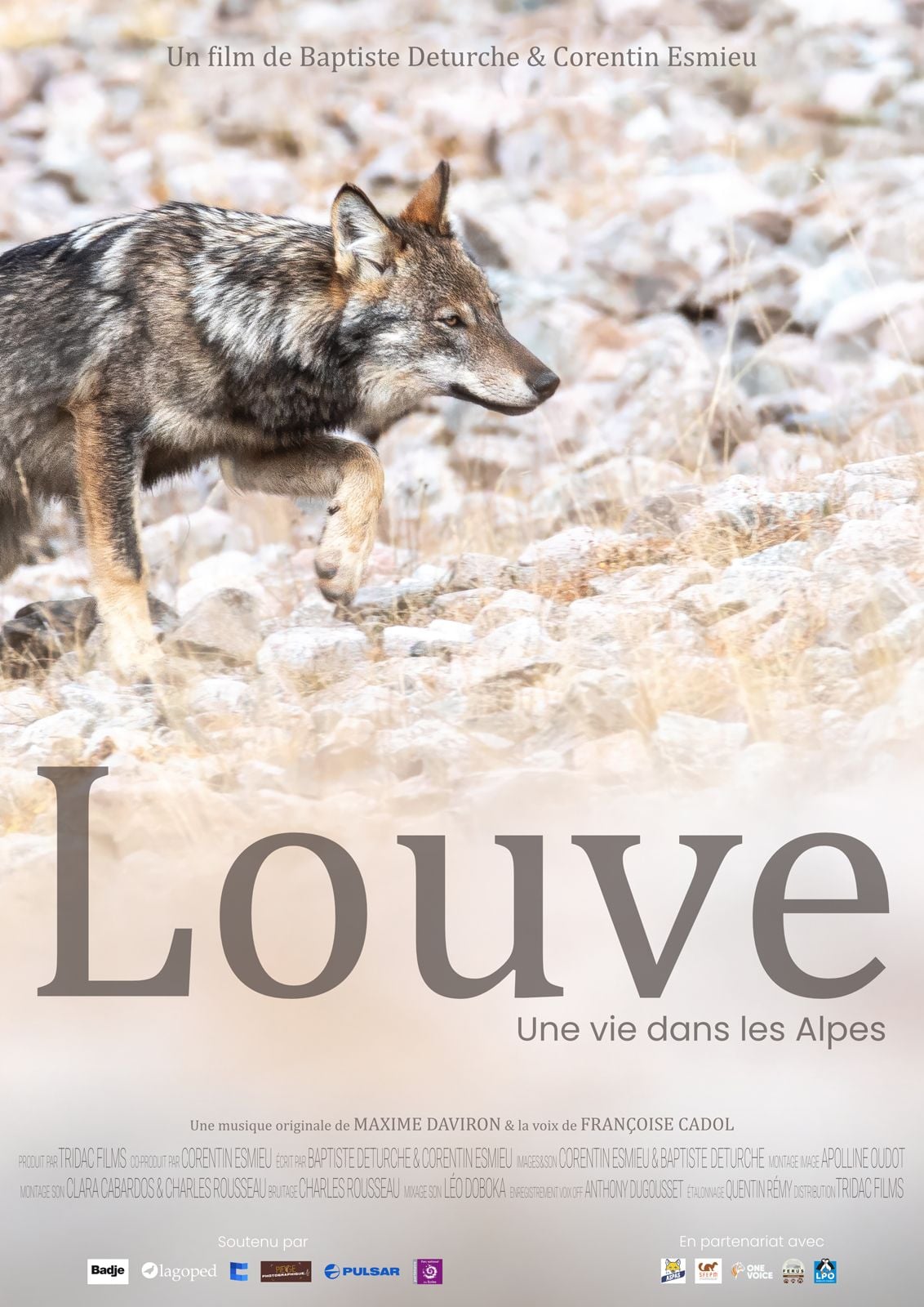 Louve, une vie dans les Alpes streaming fr