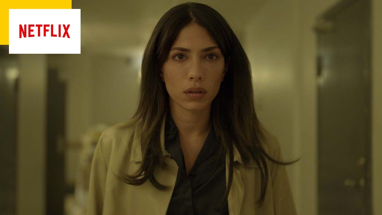 Did you like the actress Erin Carter?  They star in two other quality Netflix series