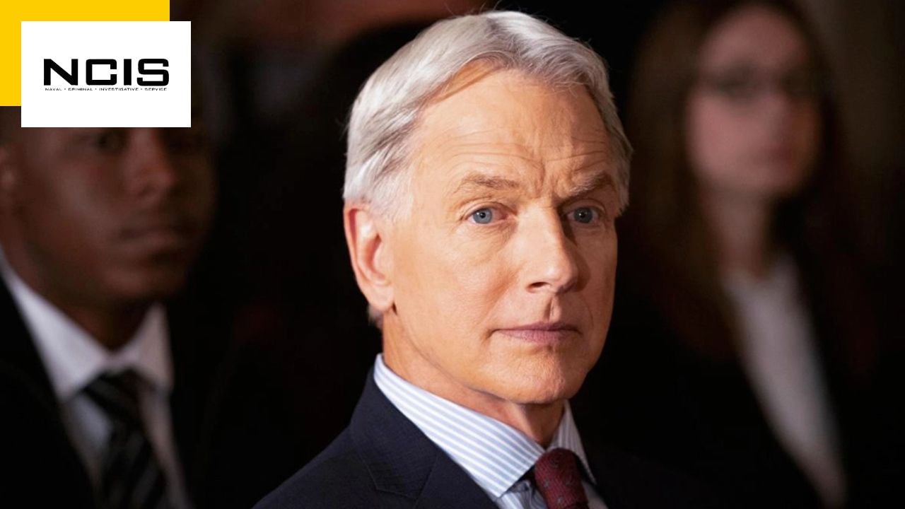 NCIS: Mark Harmon (Gibbs) has made a small fortune thanks to the series