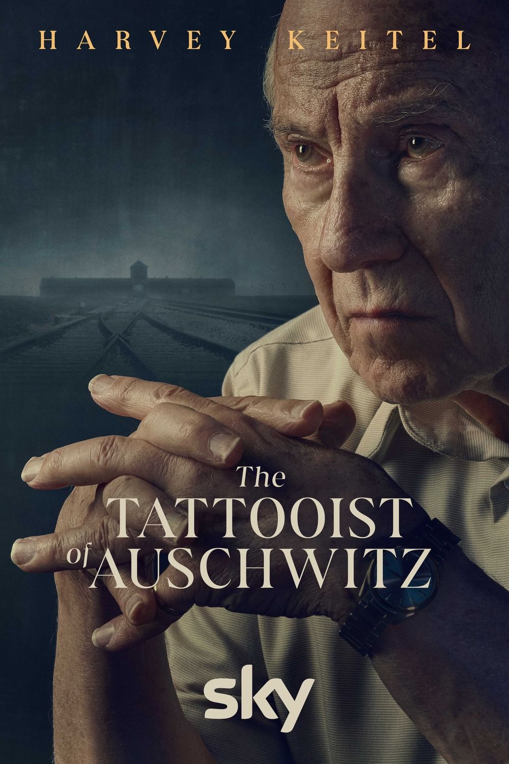 Le tatoueur d'Auschwitz Saison 1 AlloCiné