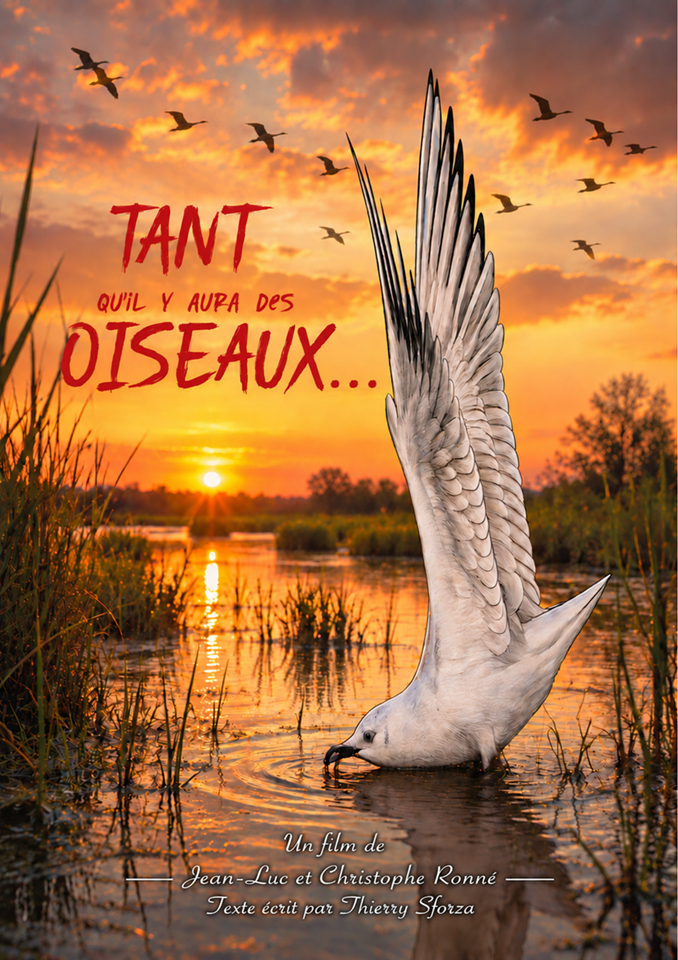 Tant qu’il y aura des oiseaux