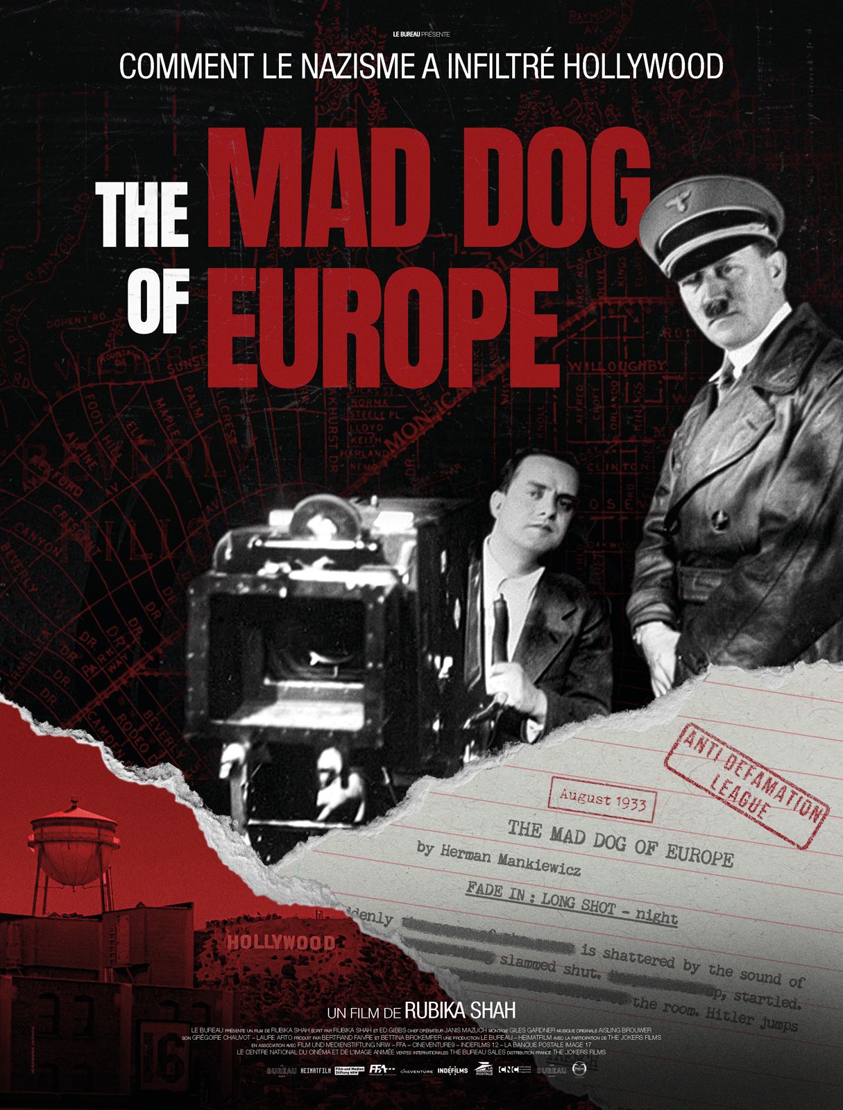 The Mad Dog Of Europe streaming gratuit