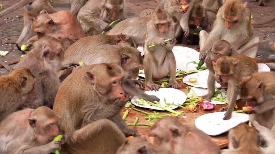 Bande annonce de Thaïlande, le pays des Hommes libres - Thaïlande, le pays  des Hommes libres Bande-annonce VF - AlloCiné