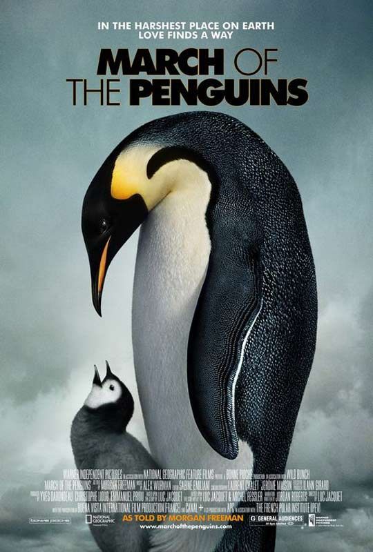 Affiche du film La Marche de l'Empereur Photo 10 sur 10 AlloCiné