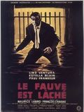 Le Fauve est lâché streaming gratuit
