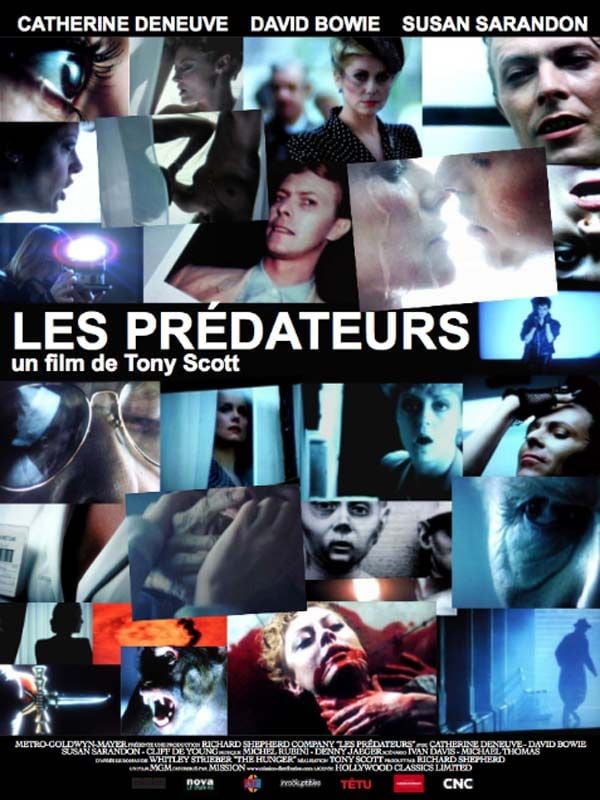 Les Prédateurs streaming fr