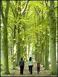 Wolfsbergen streaming vf gratuit