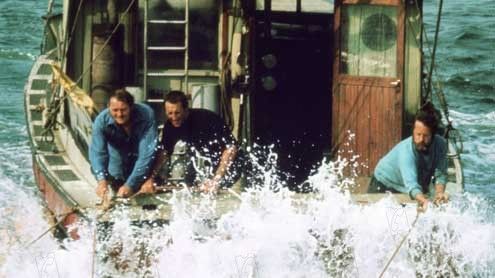 Jaws