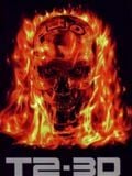 T2 3-D : Battle Across Time