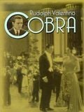 Cobra streaming fr