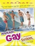 Another Gay Sequel: Gays Gone Wild! streaming