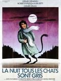 La Nuit tous les chats sont gris streaming fr