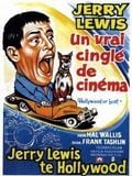 Un Vrai cinglé de cinema streaming vf gratuit