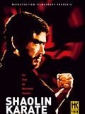 Shaolin Karaté streaming gratuit