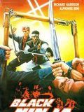 Black Ninja streaming gratuit