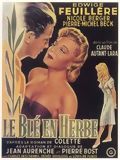 Le Blé en herbe streaming vf gratuit