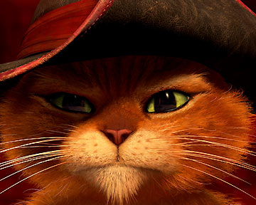 Teaser Du Film Le Chat Potte Le Chat Potte Teaser Vf Allocine