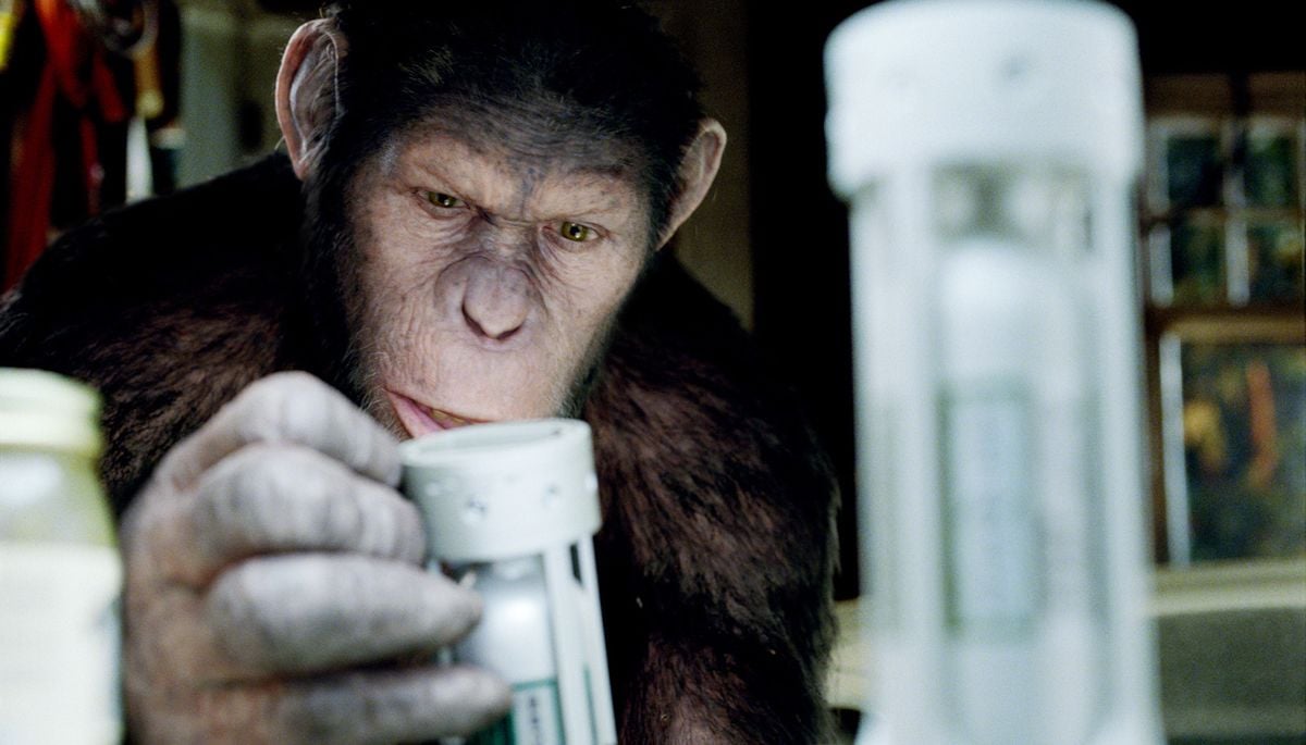 La Planète Des Singes Les Origines Streamiz Photo du film La Planète des singes : les origines - Photo 8 sur 10