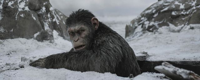 La Planete Des Singe 2 Film Complet Vf La Planète des Singes - Suprématie : un prequel au film sous forme de