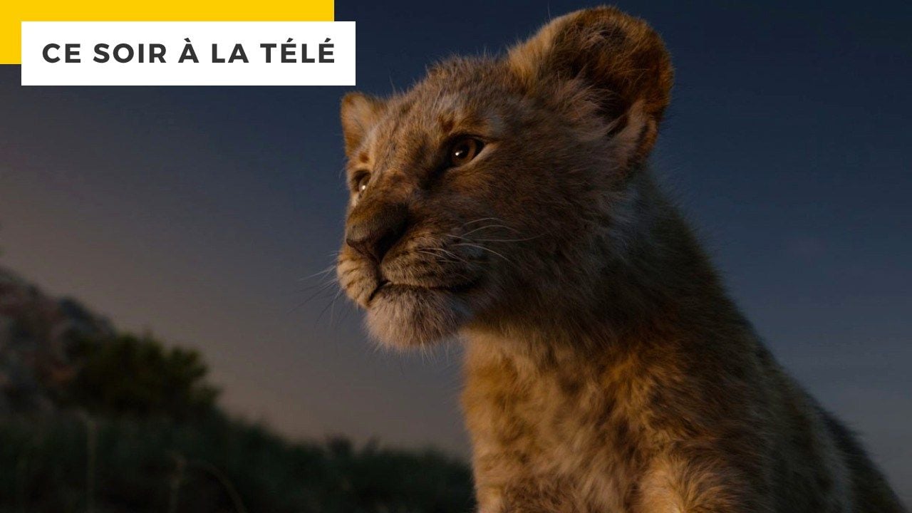 The Lion King: Can you find the only live shot in the movie?