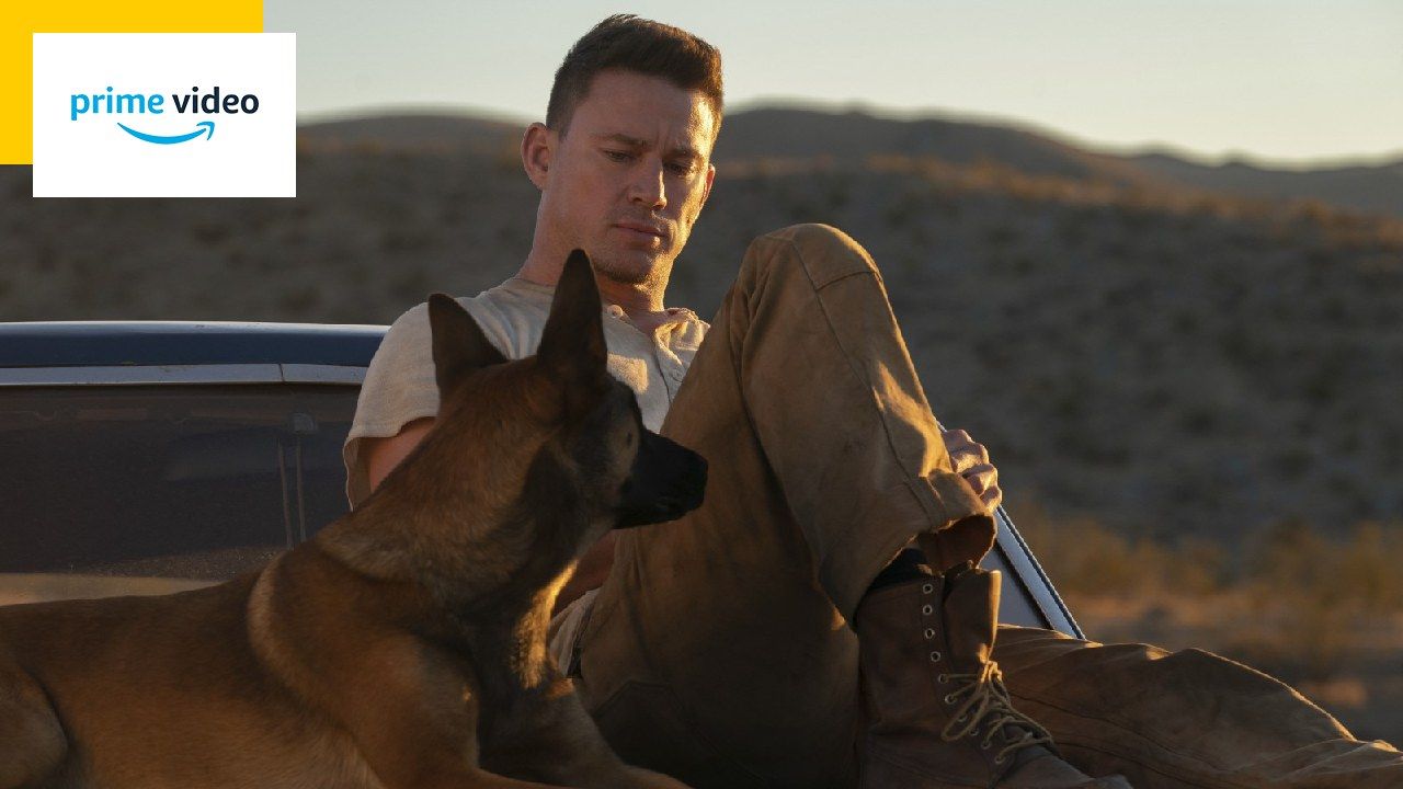 On Prime Video July 22-28: Channing Tatum’s Directorial Debut and Killer Alligator