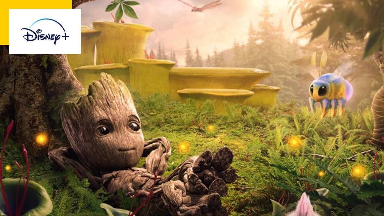 From 05 to 11 August on Disney +: New Predator, Guardians of the Galaxy Hero Series, Star Wars on the Beach…