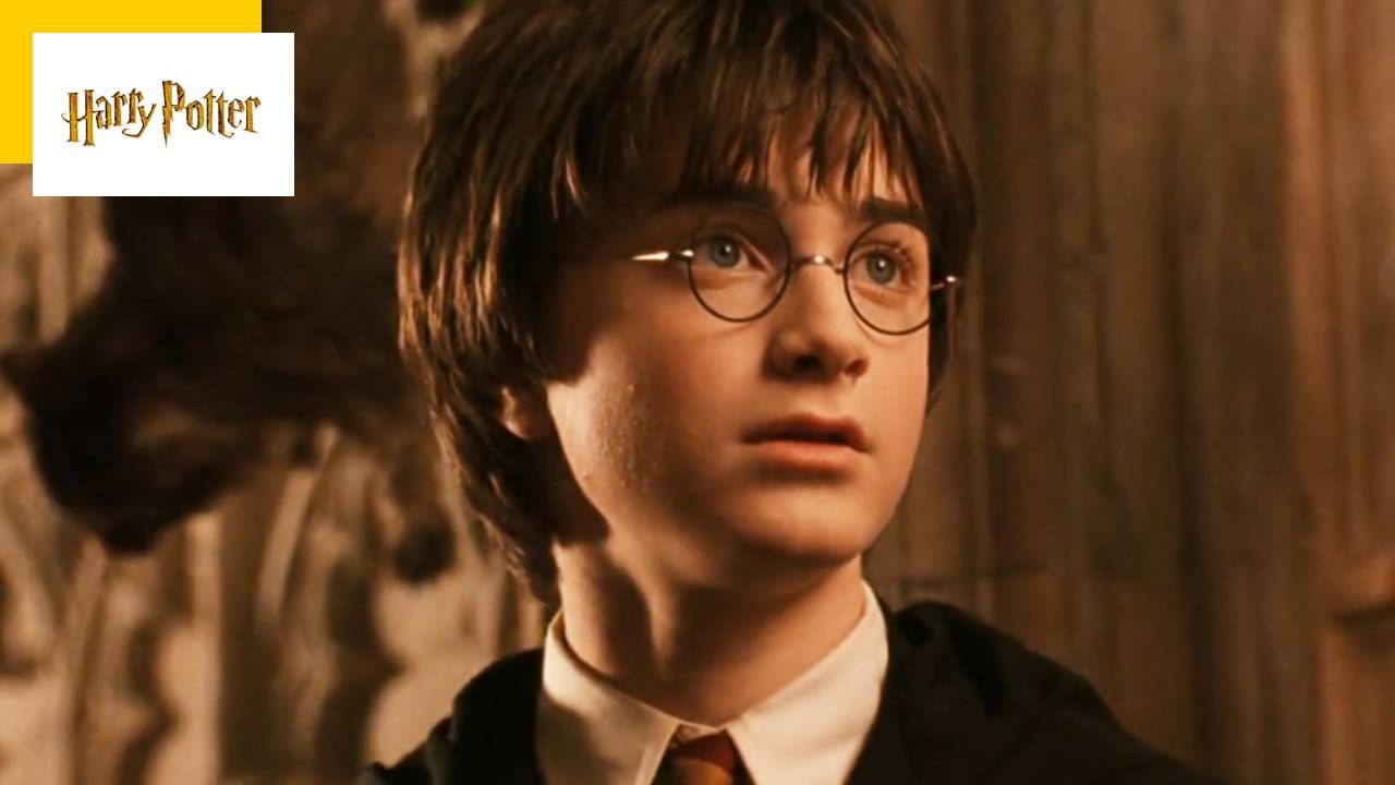 Harry Potter: Here is the only post-credits scene of the saga