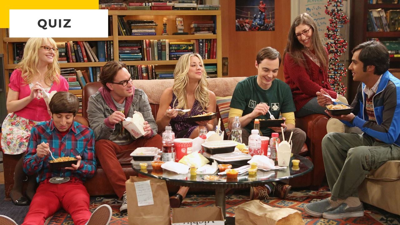 The Big Bang Theory Quiz: Are you invincible to the series guests? The Big Bang Theory Quiz: Are you invincible to the series guests?