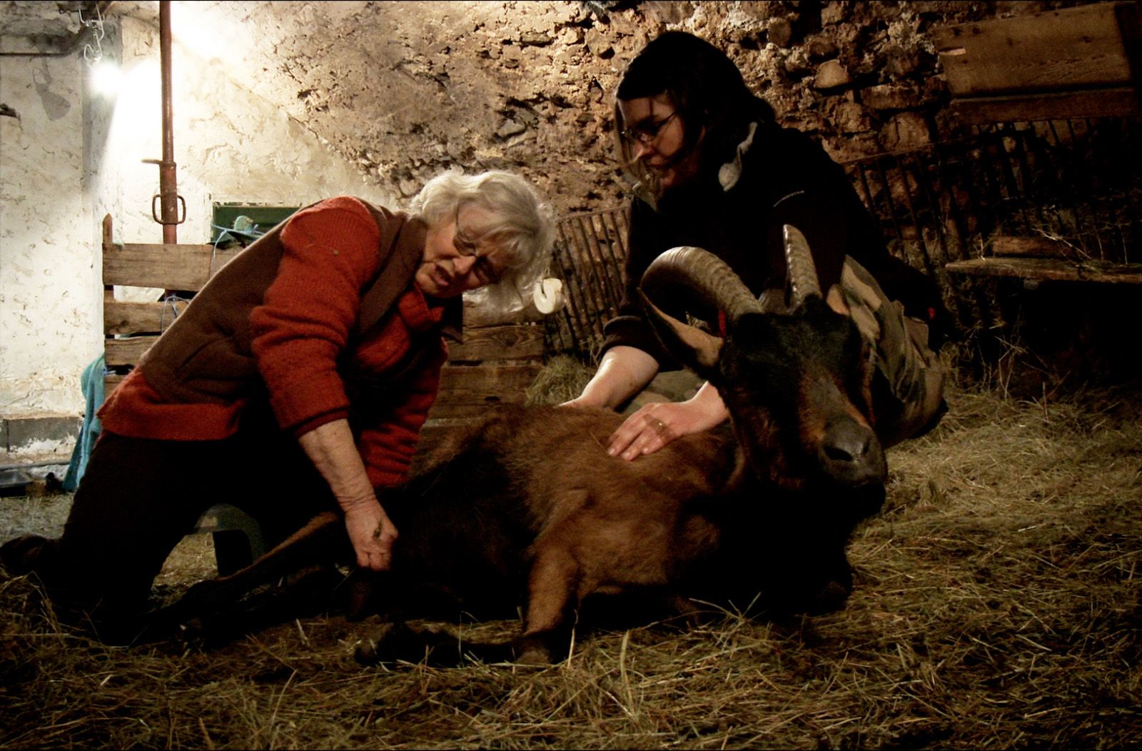 Les Chevre Du Pentagone Streaming Vf Photo du film Les Chèvres de ma mère - Photo 5 sur 7 - AlloCiné