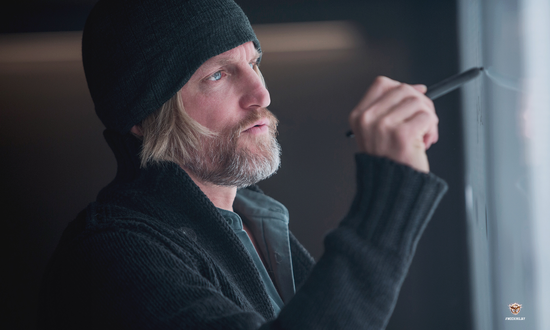 Photo de Woody Harrelson - Hunger Games - La Révolte : Partie 1 : Photo Woody Harrelson - Photo 