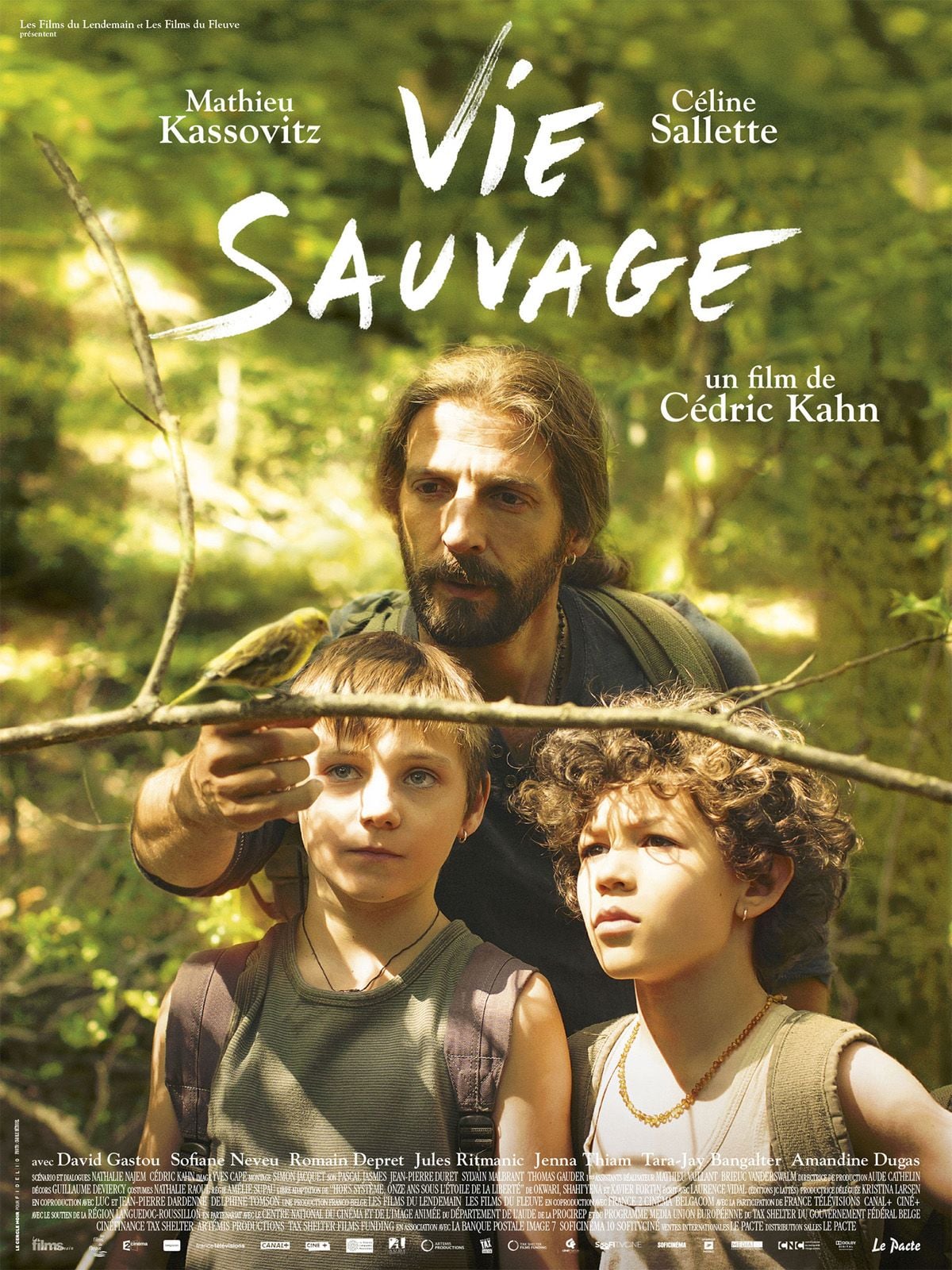 Vie sauvage streaming fr