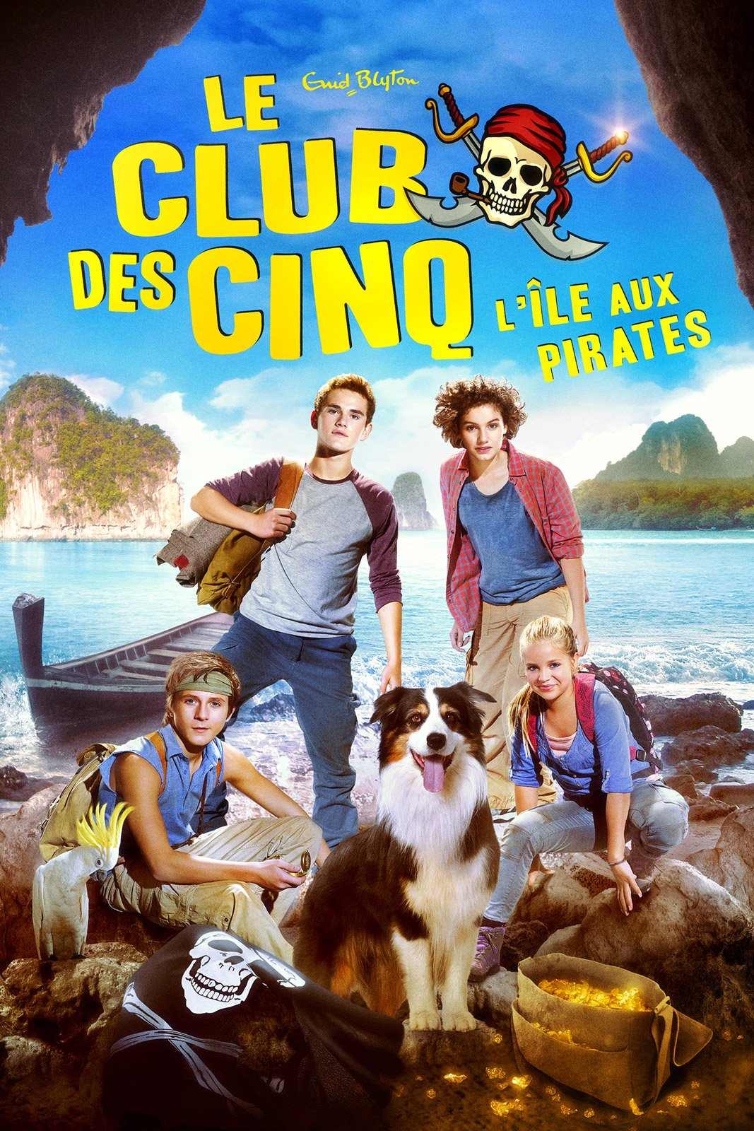 Le Club des cinq - L'île aux pirates en DVD : Le Club des 5 : L'île des  pirates - AlloCiné