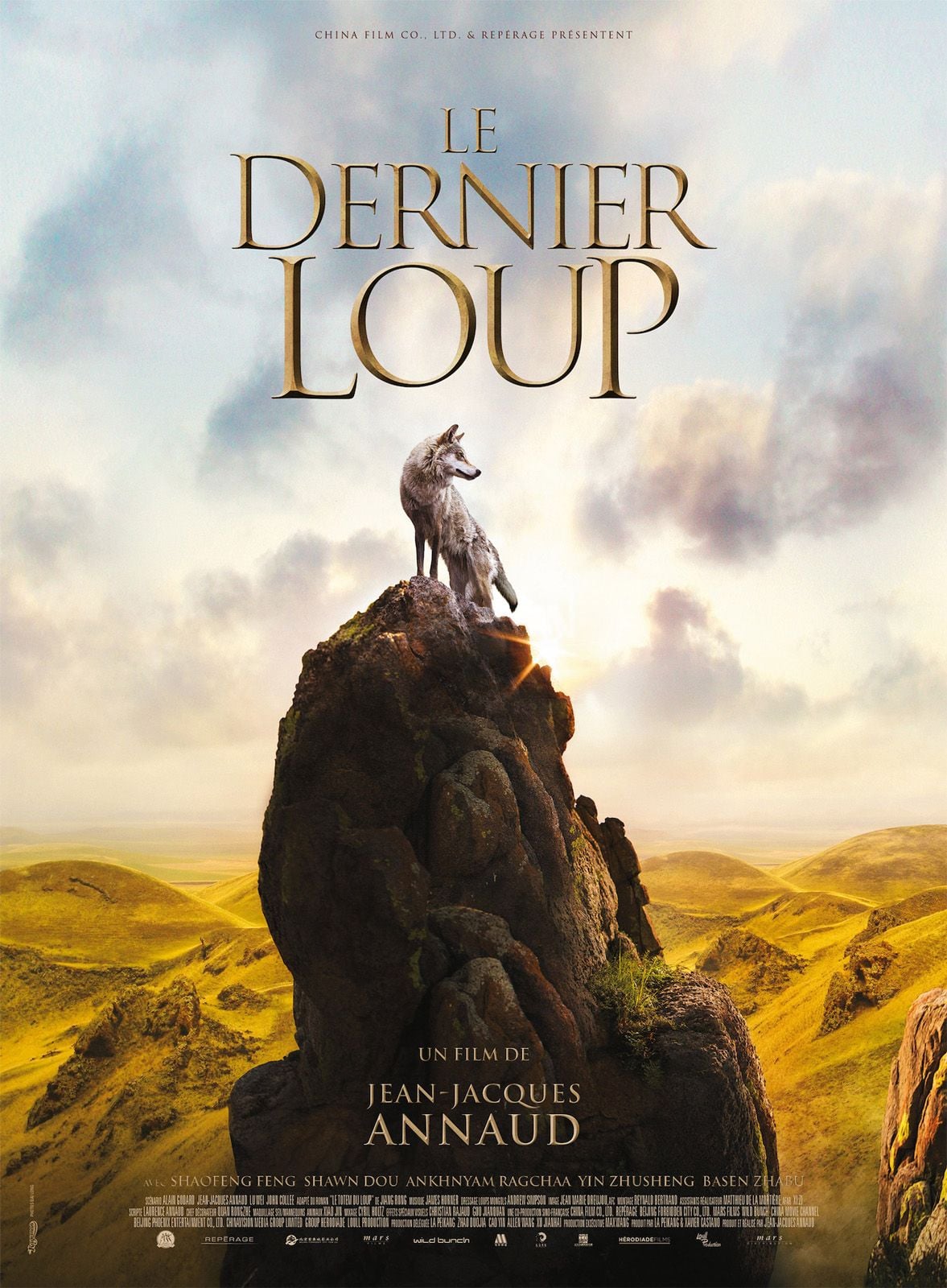 Le Dernier Loup streaming fr