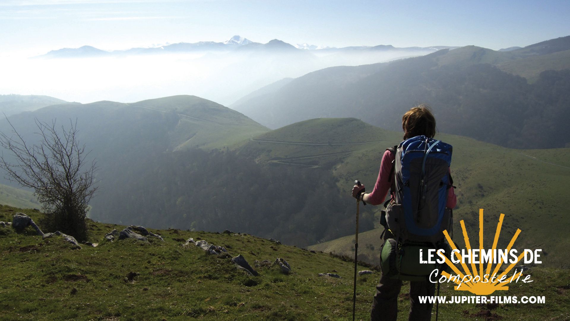 Les Chemins De Compostelle Film Streaming
