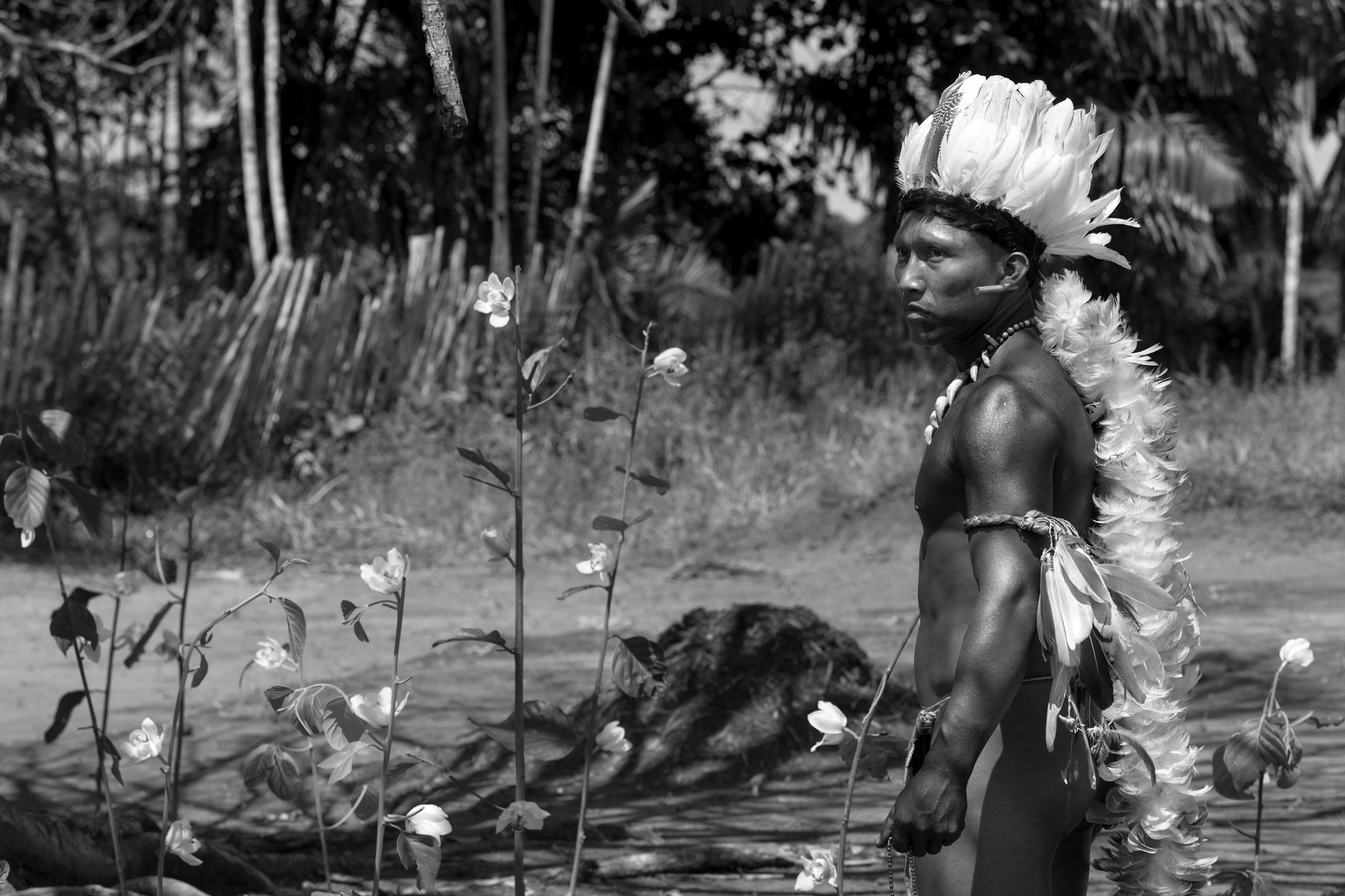 L étreinte Du Serpent Streaming Vf Youwatch Photo de Nilbio Torres - L'étreinte du serpent : Photo Nilbio Torres