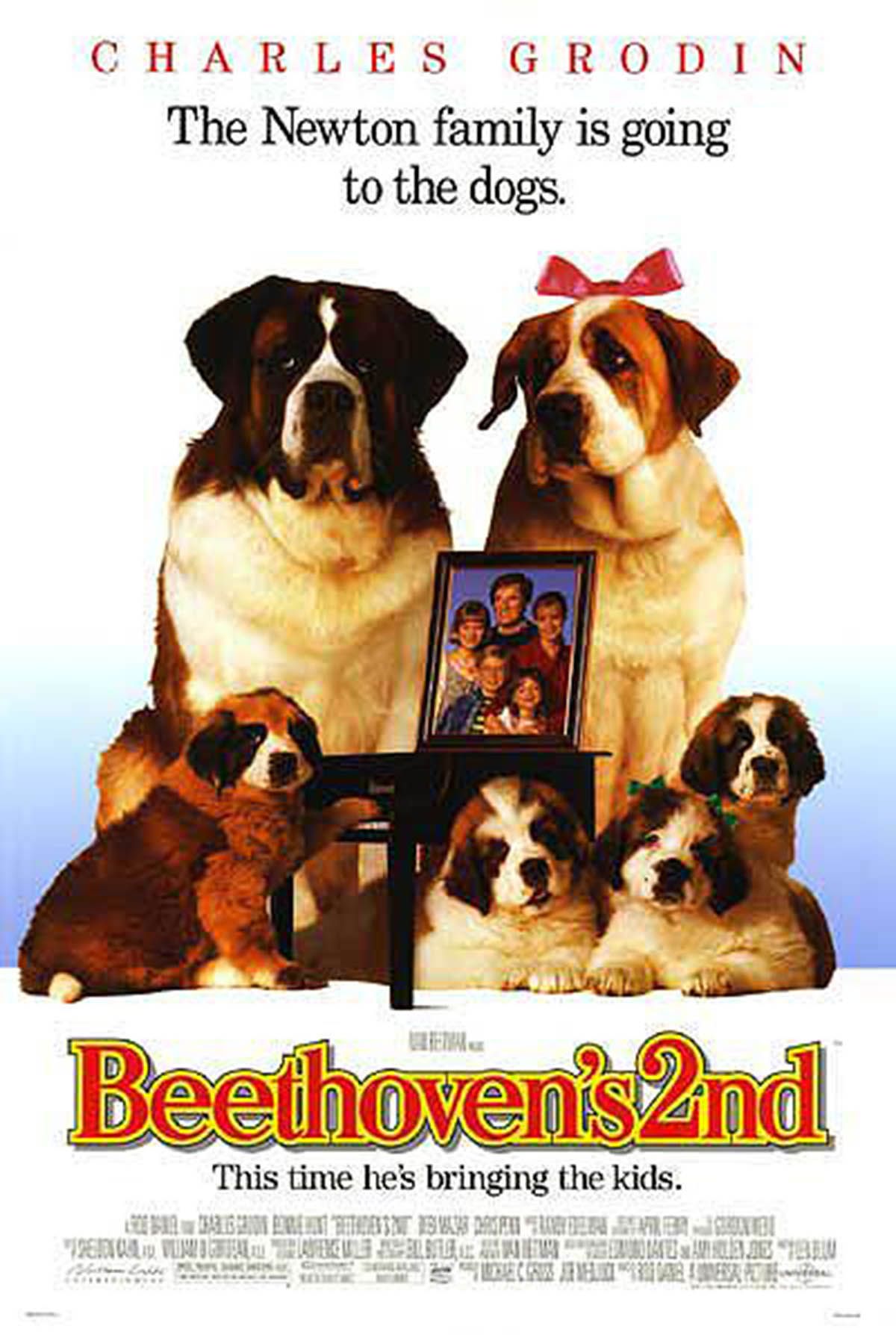 Affiche du film Beethoven 2 Photo 3 sur 6 AlloCiné