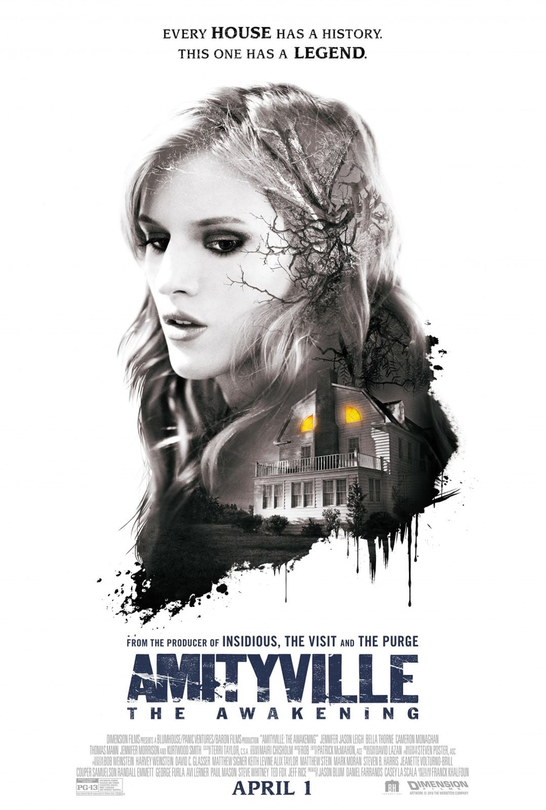 Amityville: The Awakening streaming gratuit